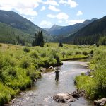 Reel it in! to support River Bridge