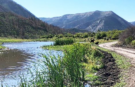 A public road winds bends along a small creek near De Beque, Colorado.