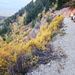 Garfield County Search and Rescue, CRFR rescue injured motorists