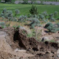 County Road 320 mitigation work 5