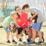 Garfield County approves grants for local animal shelters