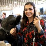 Grandstands events canceled at annual fair and rodeo