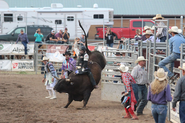 Garfield County Fair Xtreme Bulls