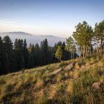 Garfield County to receive $227,000 in National Forest Reserve payments