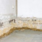 Free radon test kits available through Public Health