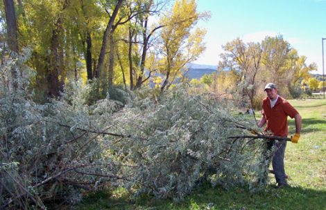 Jason Pooler, of Rifle Colorado, crew leader with Roaring Fork Outdoor Volunteers, works on stacking cut Russian olive during the Roaring Fork Outdoor Volunteer's Tamarisk / Russian Olive volunteer work day at the Rifle Rest Area.