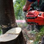 Garfield County Community Wildfire Protection Plan